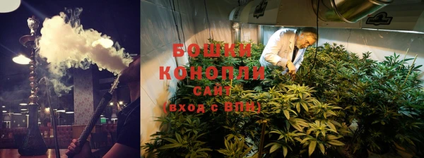 прущие крисы Заводоуковск