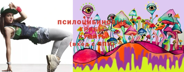 прущие крисы Заводоуковск