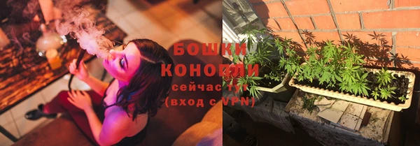 прущие крисы Заводоуковск
