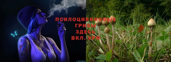 mdma Заволжск
