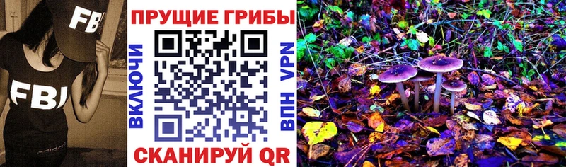 Купить где  Зея  Псилоцибиновые грибы мухоморы 