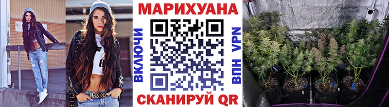 Конопля планчик  Купить  Зея 